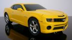 _rally_yellow1.jpg